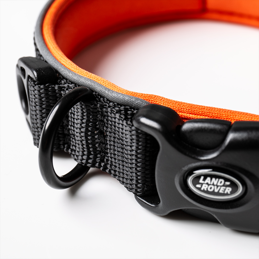 Above and Beyond Reflective Dog Collar 5